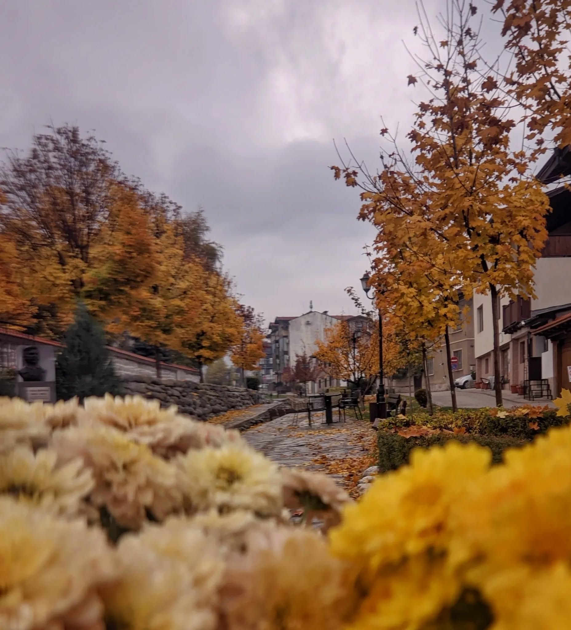 585197254 122247917888184231 8463515504816965004 n