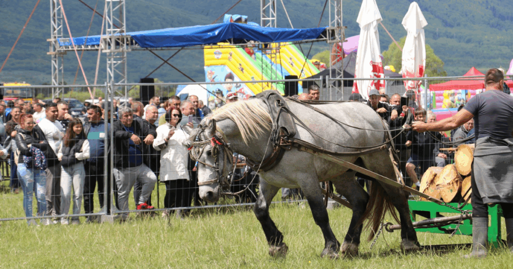 Bansko three mountains may 2025