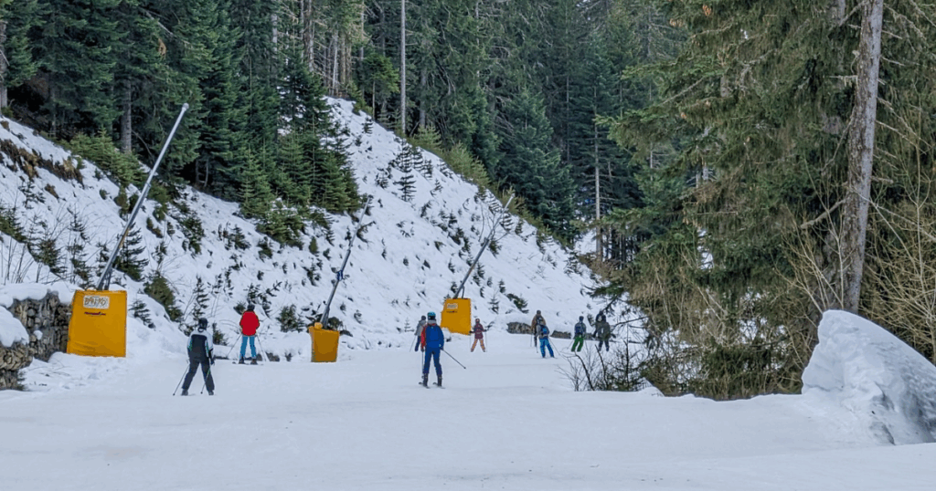 Issue 36 bansko buzz ski resort stays open