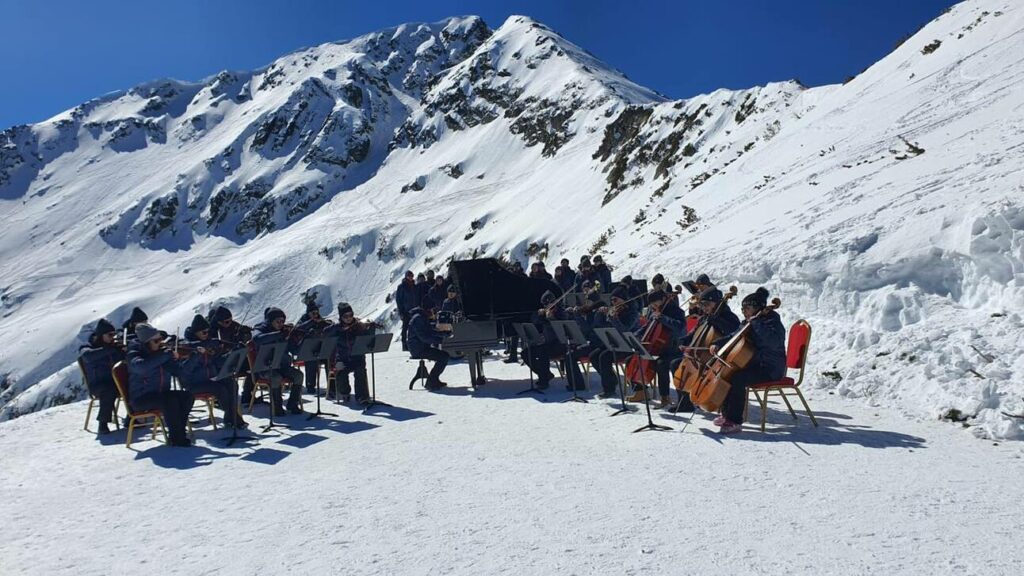 Orchestra todorka buzz issue 35b